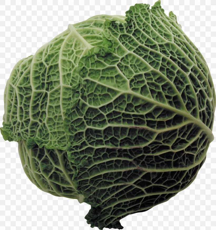 Savoy Cabbage Brussels Sprout Cauliflower, PNG, 1917x2044px, Brussels Sprout, Brassica Oleracea, Cabbage, Cauliflower, Collard Greens Download Free