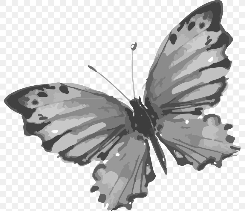 Butterfly Chinoiserie Drawing, PNG, 793x707px, Butterfly, Arthropod, Black And White, Brush Footed Butterfly, Chinoiserie Download Free