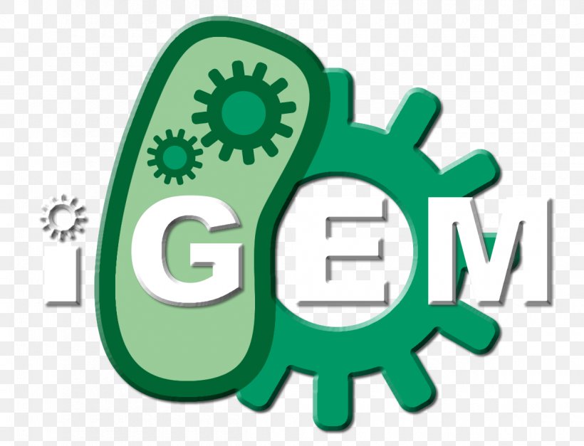 Genetic Engineering Synthetic Biology 2017 International Genetically Engineered Machine Biotechnology, PNG, 1200x918px, Genetic Engineering, Area, Biology, Biotechnology, Brand Download Free