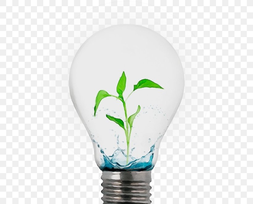 Light Bulb, PNG, 557x660px, Watercolor, Flower, Green, Incandescent Light Bulb, Lamp Download Free