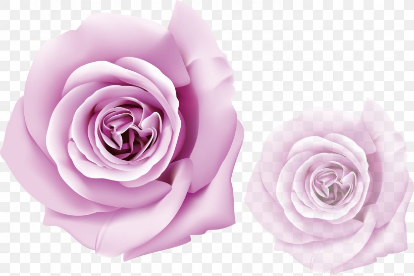Purple Rose, PNG, 1387x925px, Rose, Cut Flowers, Floral Design, Floristry, Flower Download Free