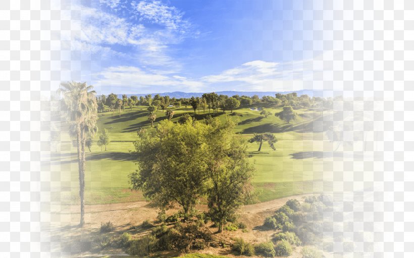Stock Photography Golf Club Drive, PNG, 1599x1000px, Stock Photography, California, Golf, Golf Club Drive, Grass Download Free