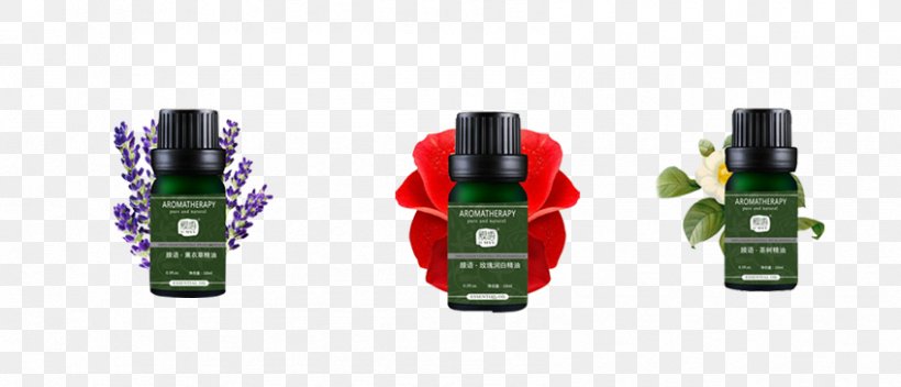 Essential Oil Bottle Cosmetics, PNG, 848x365px, Essential Oil, Bottle, Brand, Cosmetics, Designer Download Free