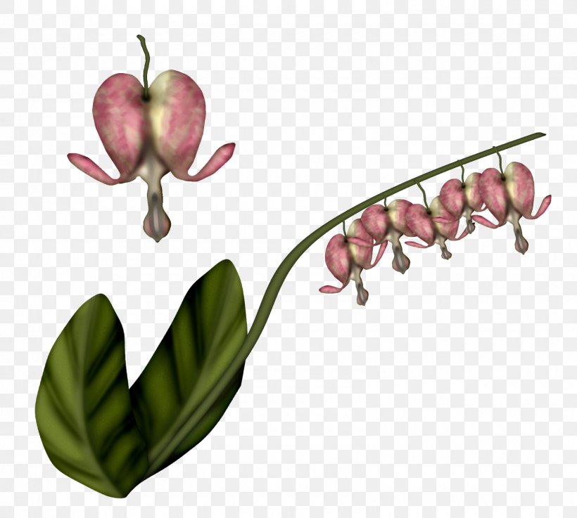 Flowering Plant Fruit Adobe Photoshop Plant Stem, PNG, 1600x1439px, Flowering Plant, Antique, Botany, Desire, Flower Download Free