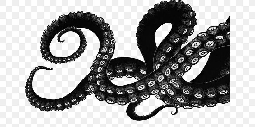 Octopus Squid Drawing Tentacle Art, PNG, 658x409px, Octopus, Art, Black And White, Body Jewelry, Cephalopod Download Free