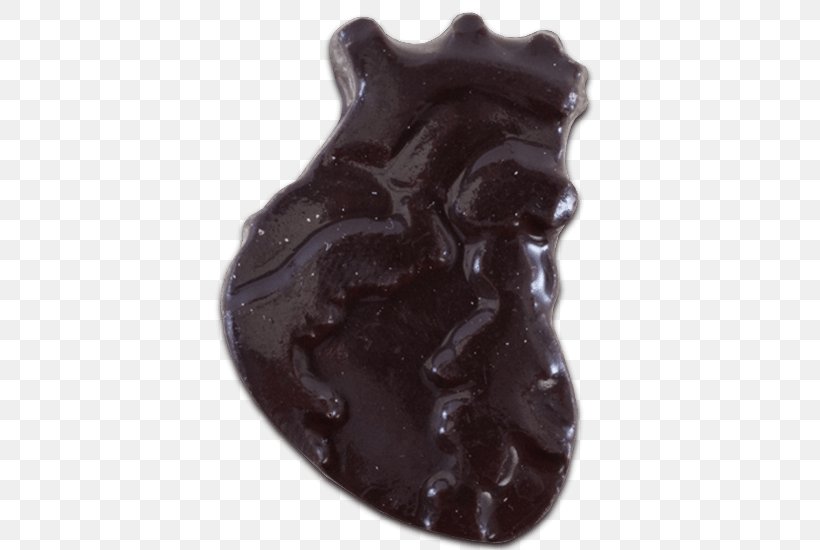 Chocolate Gummi Candy Anatomy Heart, PNG, 600x550px, Chocolate, Anatomy, Cacao Tree, Candy, Chocolate Syrup Download Free