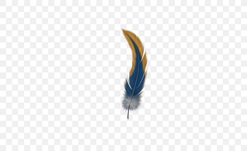 Feather Computer Wallpaper, PNG, 600x500px, Feather, Blue, Computer, Wing Download Free