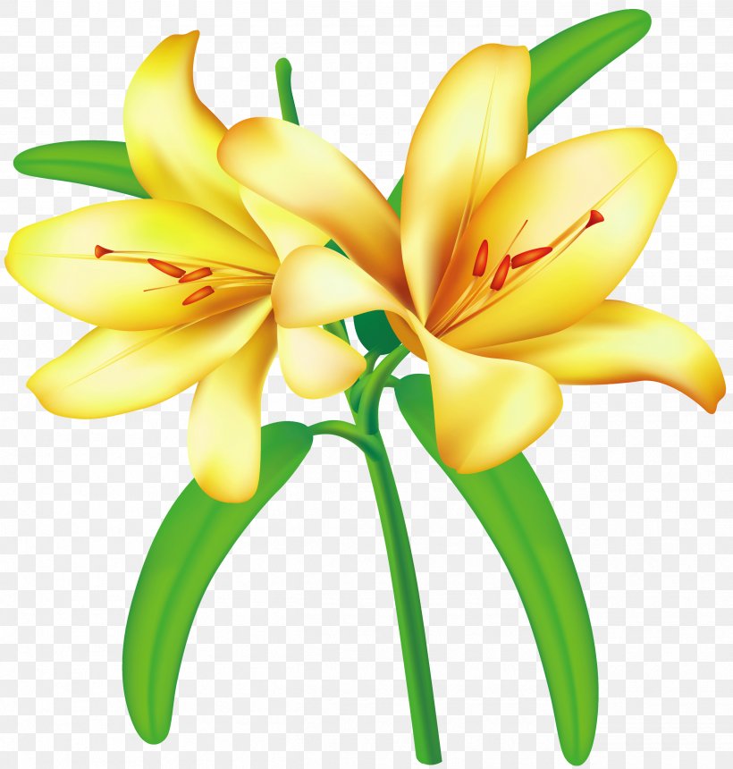 Flower Yellow Clip Art, PNG, 2535x2661px, Flower, Blog, Cut Flowers, Daylily, Floral Design Download Free