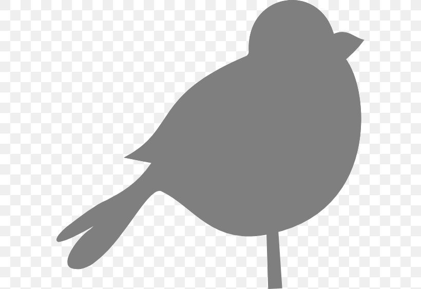 Bird Clip Art, PNG, 600x563px, Bird, Beak, Black And White, Branch, Color Download Free