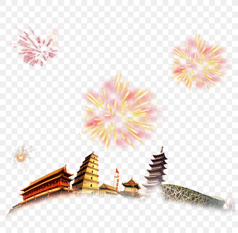 Fireworks Chinese New Year Lantern Festival Graphic Design, PNG, 800x800px, Fireworks, Chinese New Year, Chinoiserie, Lantern Festival, New Year Download Free
