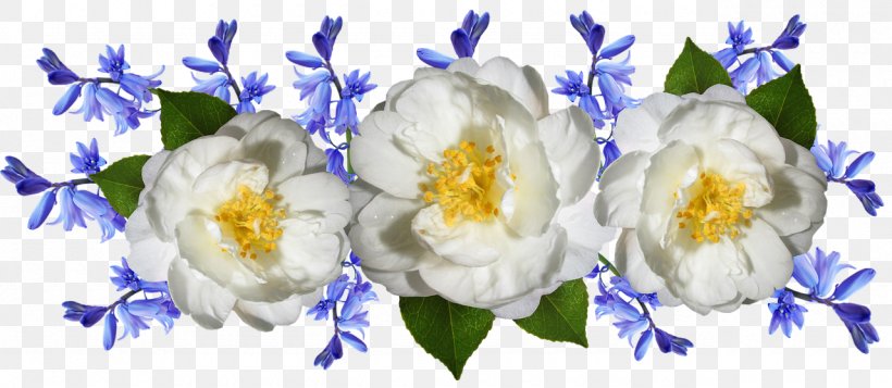 Flowers Background, PNG, 1280x558px, Flower, Arrangement, Camellia, Cut Flowers, Floral Design Download Free