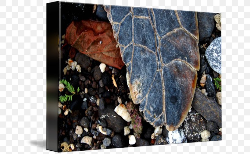 Plastic Leaf, PNG, 650x507px, Plastic, Leaf, Pebble, Plant, Rock Download Free