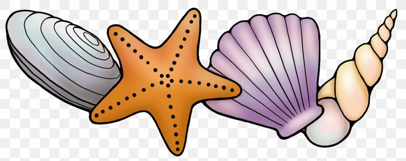 Seashell Starfish Wink Ink Clip Art, PNG, 1600x638px, Watercolor, Cartoon, Flower, Frame, Heart Download Free
