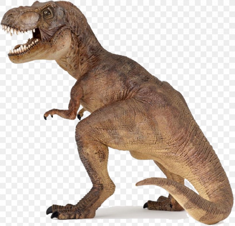 Dinosaur Tyrannosaurus Rex Yangchuanosaurus Carnivore, PNG, 918x886px, Tyrannosaurus, Acrocanthosaurus, Action Toy Figures, Child, Dinosaur Download Free
