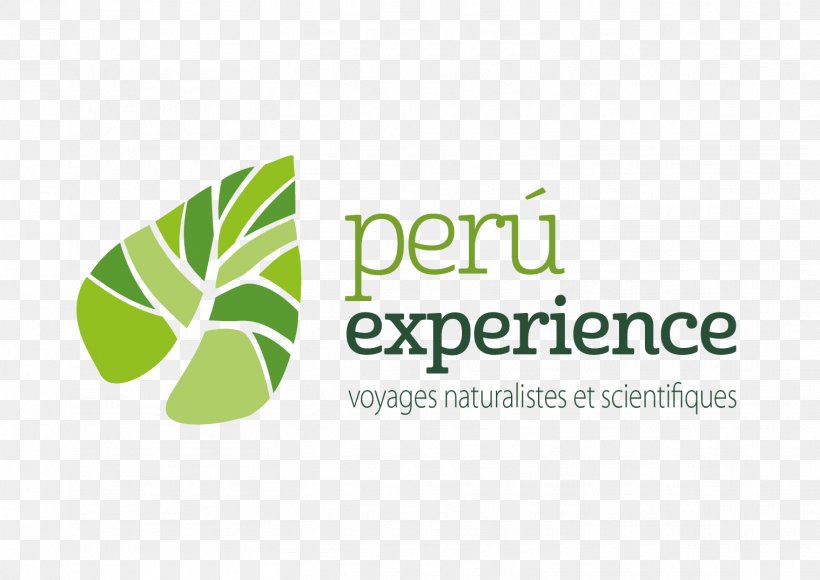 Ecuador Experience, PNG, 1518x1075px, Logo, Brand, Ecuador, Green, Leaf Download Free
