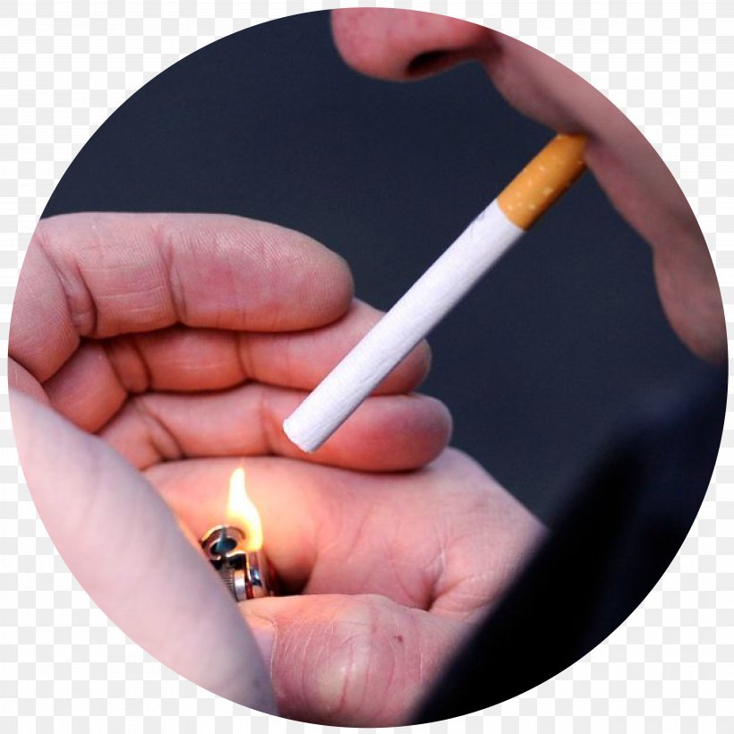Menthol Cigarette Smoking Ban Tobacco Smoking, PNG, 3750x3750px, Menthol Cigarette, Ban, Beedi, Cigarette, Cigarette Pack Download Free