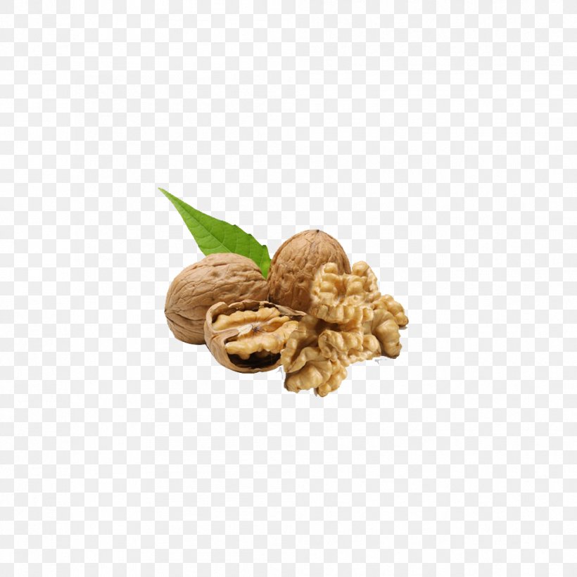 English Walnut Nuts Auglis, PNG, 992x992px, Walnut, Auglis, Brazil Nut, Cashew, Commodity Download Free