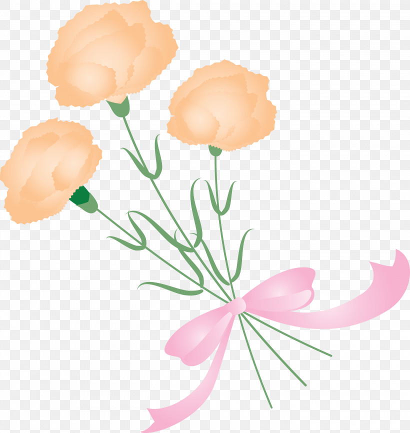 Mothers Day Carnation Mothers Day Flower, PNG, 2840x3000px, Mothers Day Carnation, Cut Flowers, Flower, Mothers Day Flower, Petal Download Free