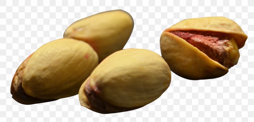 Pistachio Nucule Icon, PNG, 1368x660px, Pistachio, Commodity, Food, Fruit, Gimp Download Free