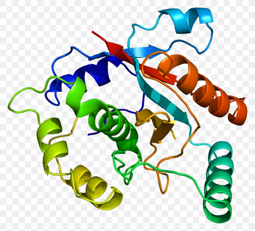 UCHL3 Ubiquitin Carboxy-terminal Hydrolase L1 Deubiquitinating Enzyme Gene, PNG, 847x770px, Watercolor, Cartoon, Flower, Frame, Heart Download Free