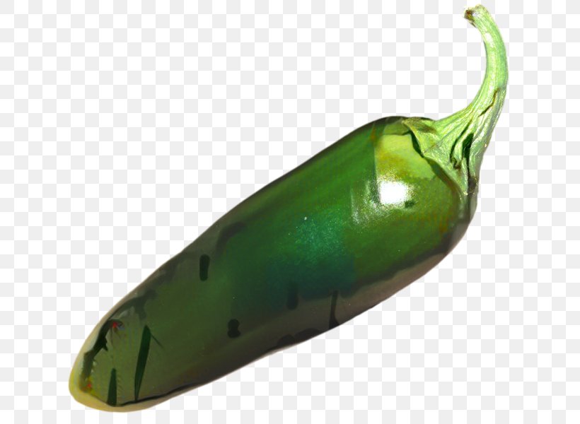 Vegetable Cartoon, PNG, 633x600px, Serrano Pepper, Chili Pepper, Eggplant, Food, Nightshade Family Download Free