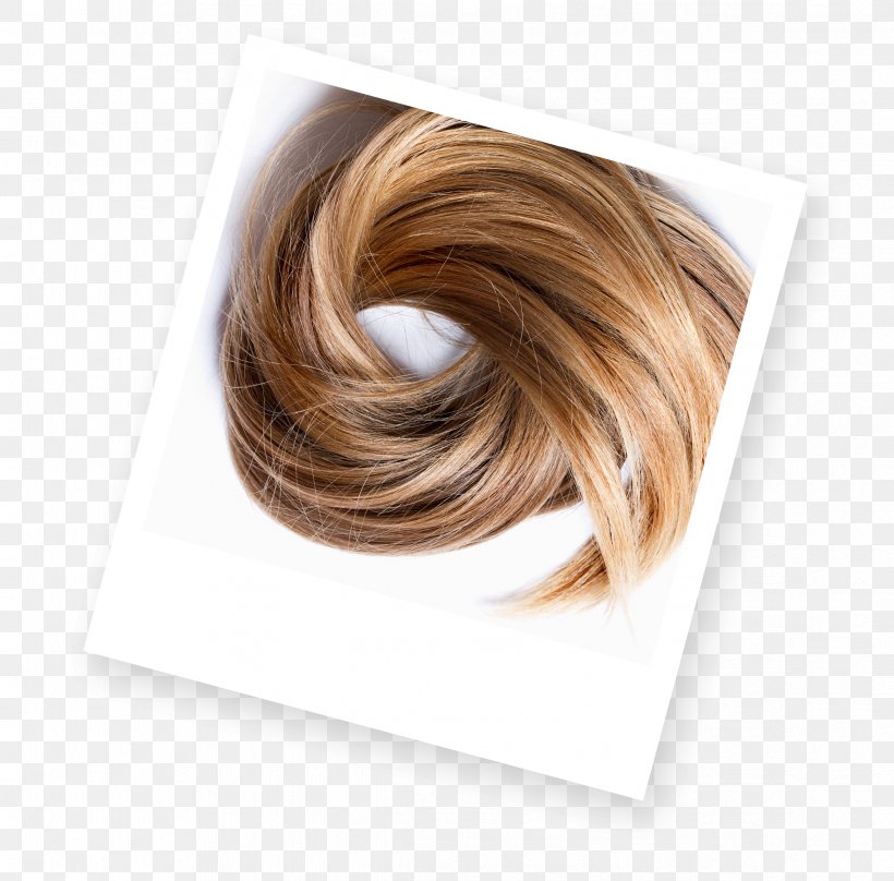 Blond Hair Coloring Brown Hair Human Hair Color, PNG, 2343x2309px, Blond, Brown, Brown Hair, Color, Dip Dye Download Free