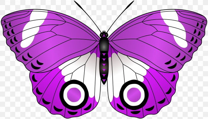 Butterfly Lilac Red Clip Art, PNG, 8000x4571px, Butterfly, Arthropod, Brush Footed Butterfly, Butterflies And Moths, Color Download Free