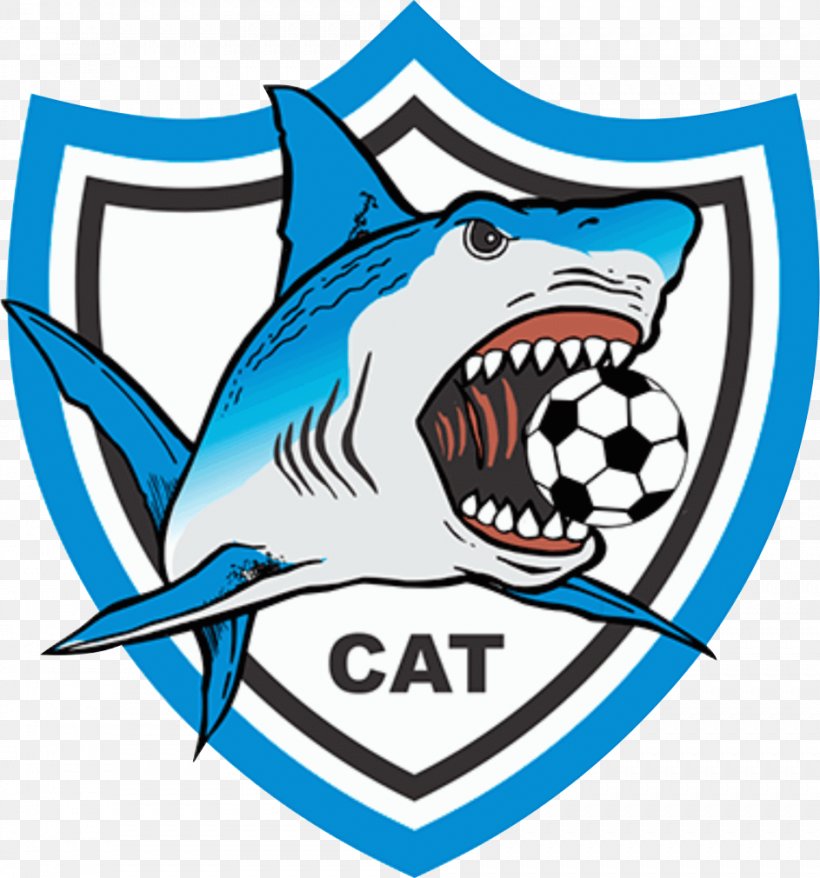 Clube Atlético Tubarão Tubarão Futebol Clube Shark Football, PNG, 943x1010px, Shark, Area, Artwork, Ball, Brand Download Free