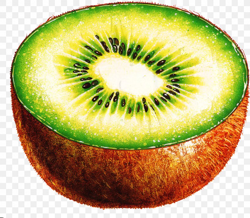 Kiwi Bird, PNG, 1600x1397px, Kiwifruit, Flightless Bird, Food, Fruit, Green Download Free