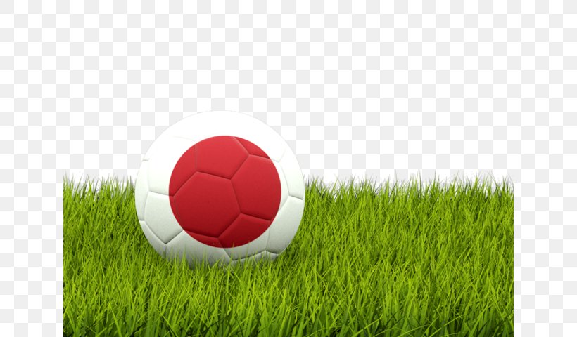Nottingham Forest F.C. American Football Pakistan Football Federation Football Association Of Serbia, PNG, 640x480px, Nottingham Forest Fc, American Football, Artificial Turf, Ball, Field Download Free