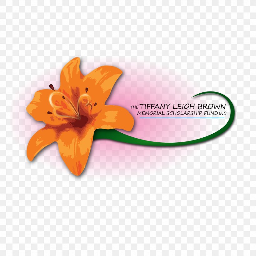 Petal Font, PNG, 1500x1500px, Petal, Flower, Orange Download Free