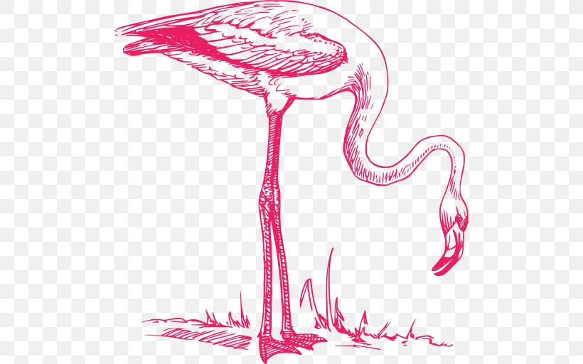Clip Art Vector Graphics Flamingo Drawing Illustration, PNG, 498x512px, Flamingo, Art, Bird, Ciconiiformes, Drawing Download Free