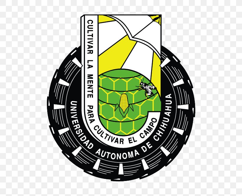 Dorados Fuerza UACH Logo University Brand Emblem, PNG, 800x666px, 2017, Dorados Fuerza Uach, Brand, Emblem, Faculty Download Free