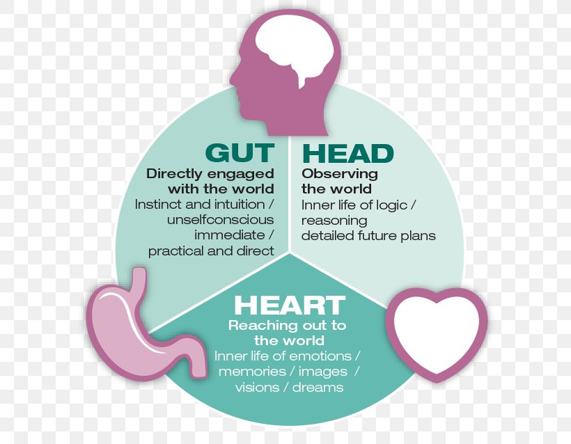 Instinct Gastrointestinal Tract Gut–brain Axis Neuroscience Psychological Stress, PNG, 613x638px, Instinct, Attention, Brain, Brand, Concept Download Free