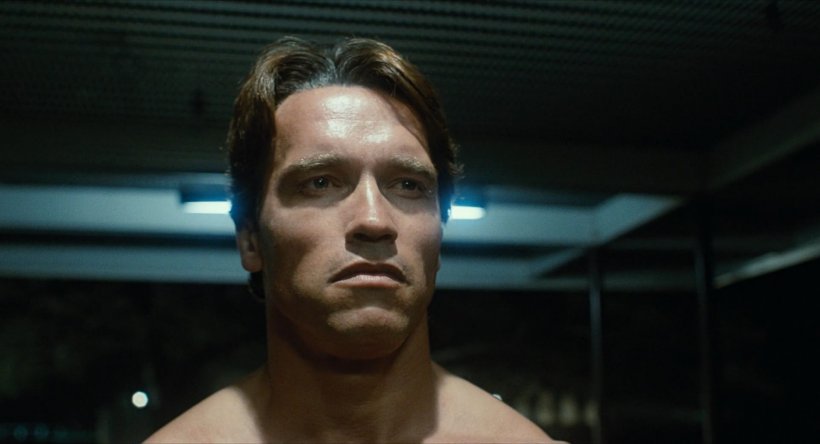 Arnold Schwarzenegger John Connor The Terminator, PNG, 1920x1040px, Watercolor, Cartoon, Flower, Frame, Heart Download Free
