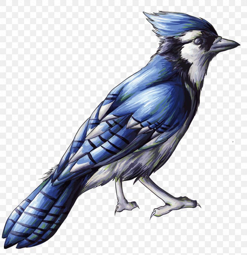Bird Drawing Blue Jay Clip Art Png 1500x1549px Bird Art Beak Blue Jay Cobalt Blue Download