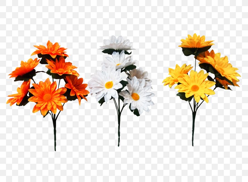 Cut Flowers Daisy Family Transvaal Daisy Artificial Flower, PNG, 800x600px, Flower, Artificial Flower, Aster, Chrysanthemum, Chrysanths Download Free