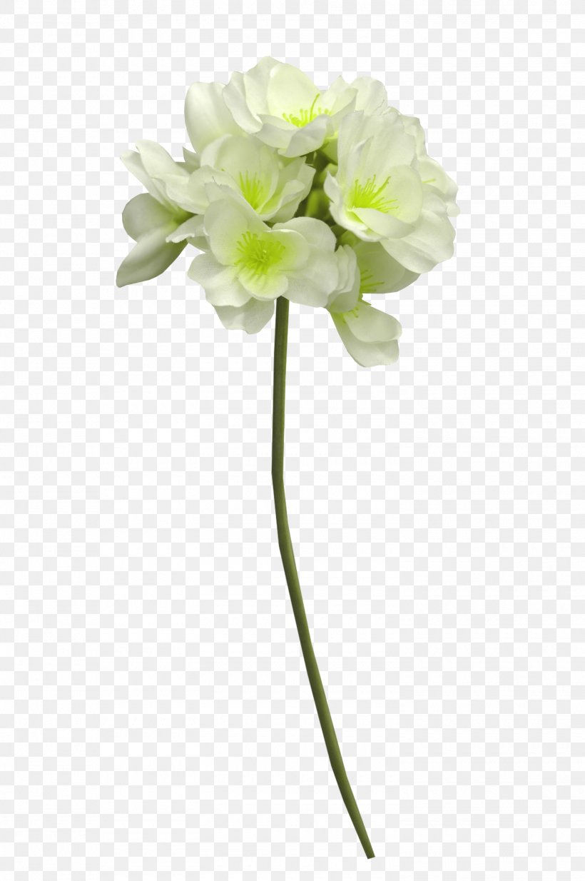 Cut Flowers White Cape Jasmine, PNG, 1500x2258px, Flower, Artificial Flower, Cape Jasmine, Cut Flowers, Floral Design Download Free