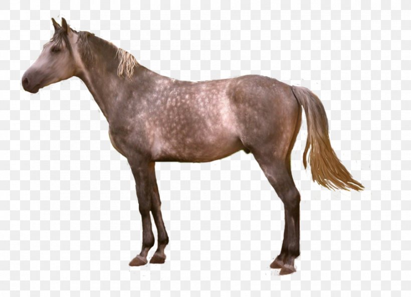 Mustang Mare American Paint Horse Stallion Pony, PNG, 900x651px, Mustang, American Paint Horse, Animal Figure, Breyer Animal Creations, Bridle Download Free