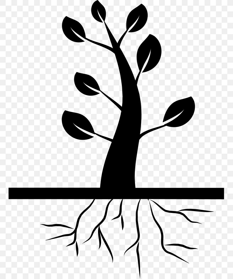 Tree Root Clip Art, PNG, 759x980px, Tree, Artwork, Black, Black And White, Branch Download Free