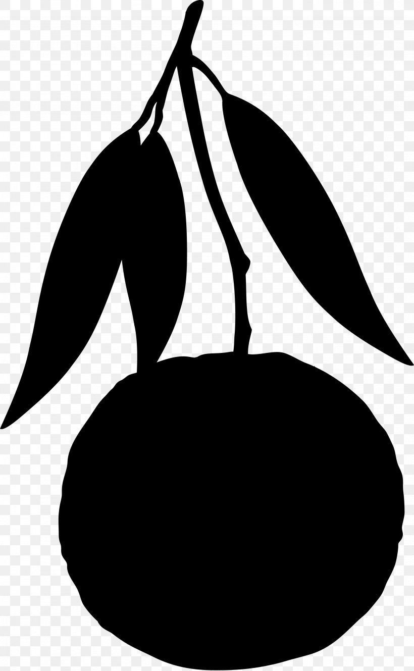 Clip Art Leaf Silhouette, PNG, 2767x4487px, Leaf, Blackandwhite, Fruit Tree, Logo, Pear Download Free