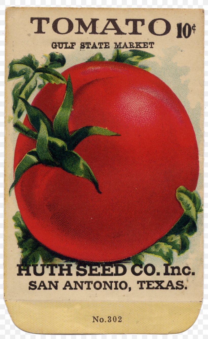 Tomato Food Seed Petunia Kunstdruck, PNG, 980x1598px, Tomato, Art, Food, Fruit, Kunstdruck Download Free