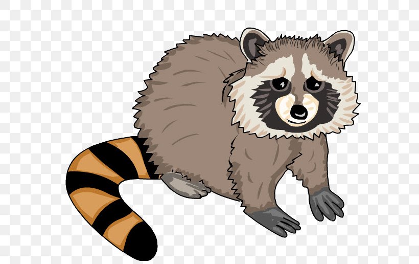 Whiskers Raccoon Technology Education Animal, PNG, 621x516px, Whiskers, Animal, Animal Figure, Area, Bear Download Free