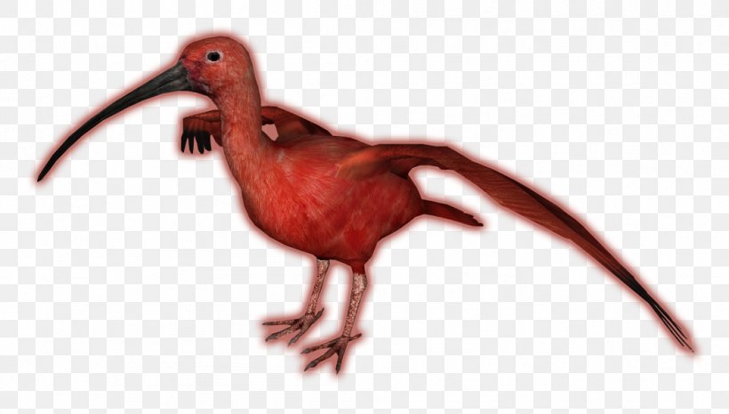 Zoo Tycoon 2 Beak Scarlet Ibis Bird, PNG, 1054x600px, Zoo Tycoon 2, Beak, Bird, Extinction, Fauna Download Free