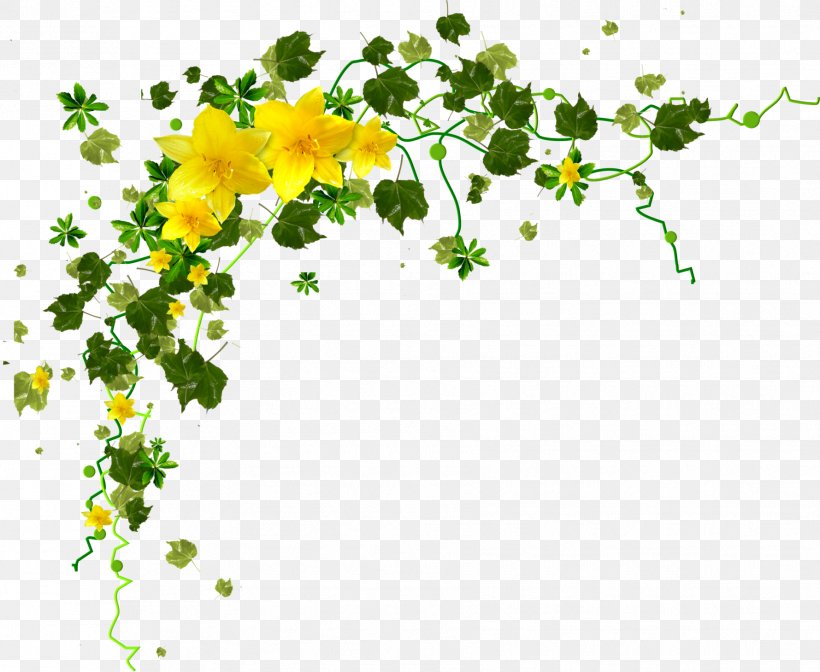Flower Yellow Petal Clip Art, PNG, 1779x1459px, Flower, Branch, Collage, Color, Drawing Download Free