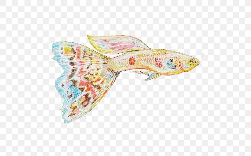 Goldfish Guppy Aquarium Fishkeeping, PNG, 512x512px, Goldfish, Aquarium, Brine Shrimp, Color, Fish Download Free