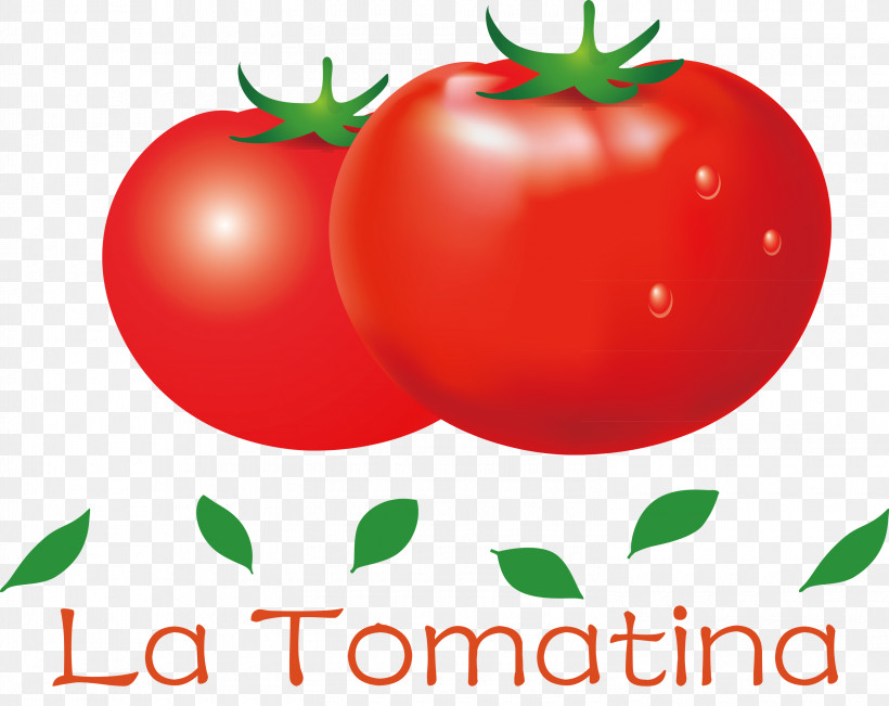 La Tomatina Tomato Throwing Festival, PNG, 3000x2383px, La Tomatina, Apple, Barbados Cherry, Bush Tomato, Datterino Tomato Download Free