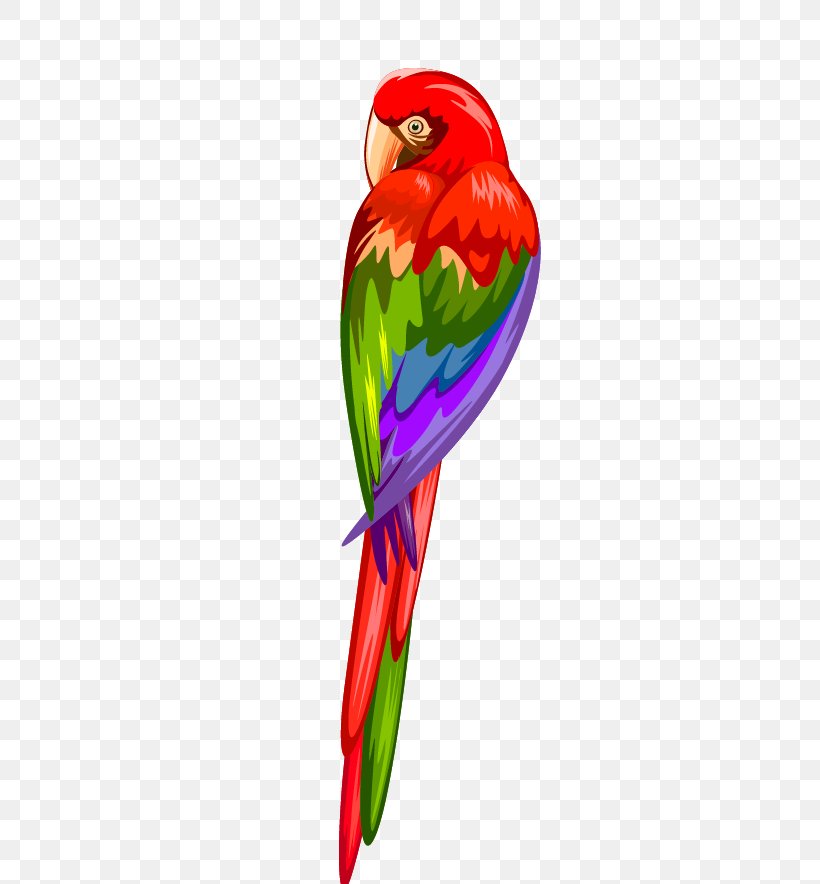 Parrots Of New Guinea Macaw, PNG, 400x884px, Parrot, Art, Beak, Bird, Macaw Download Free