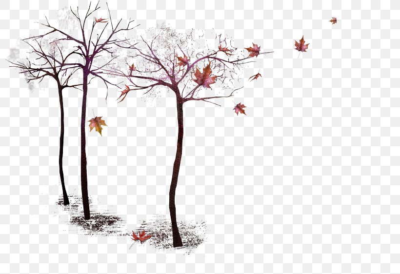 Autumn Tree Twig Image, PNG, 800x562px, Autumn, Art, Branch, Drawing, Flora Download Free