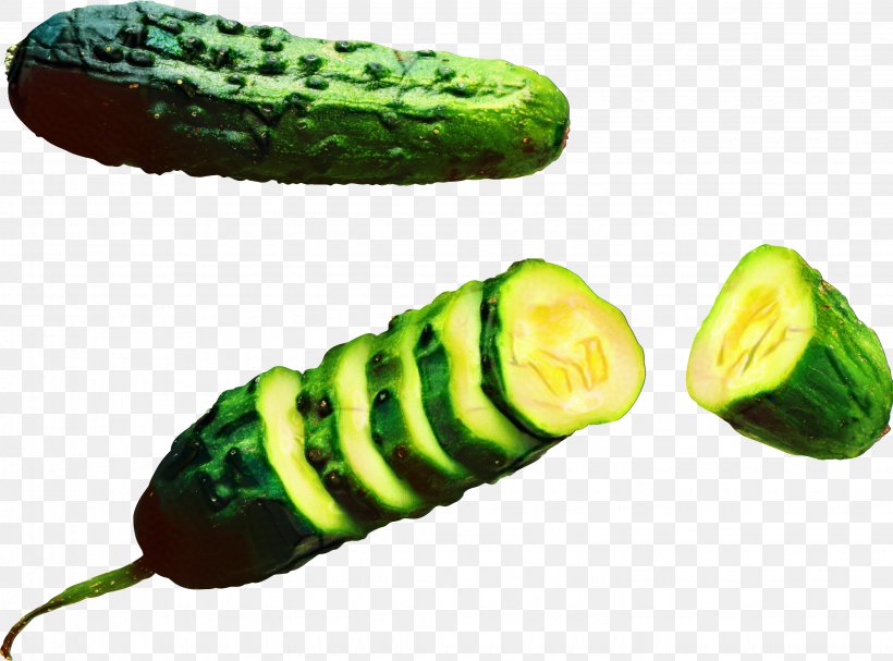 Vegetable Cartoon, PNG, 2881x2134px, Cucumber, Cucumis, Cucurbits, Food, Gourd Download Free